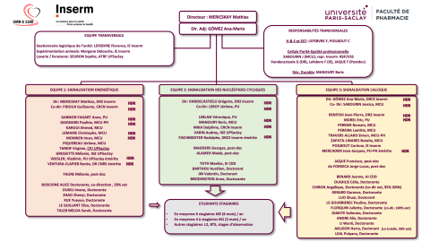 organigrame-u1180-mai-2026